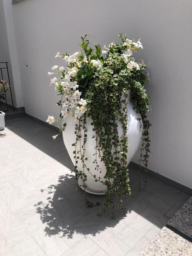 Il Fiore Bianco Capo dʼOrlando Exteriör bild